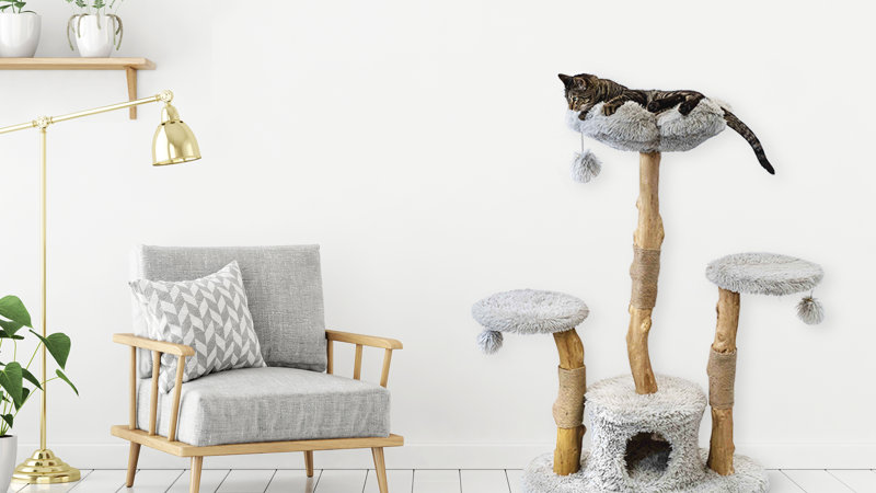 Pet Furniture Wayfair